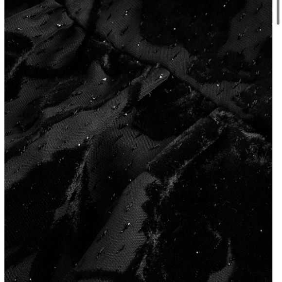 Express Chic Silhouette Velvet Floral Design Tie Neck and Sheer Balloon Sleeves - Picture 5 of 6